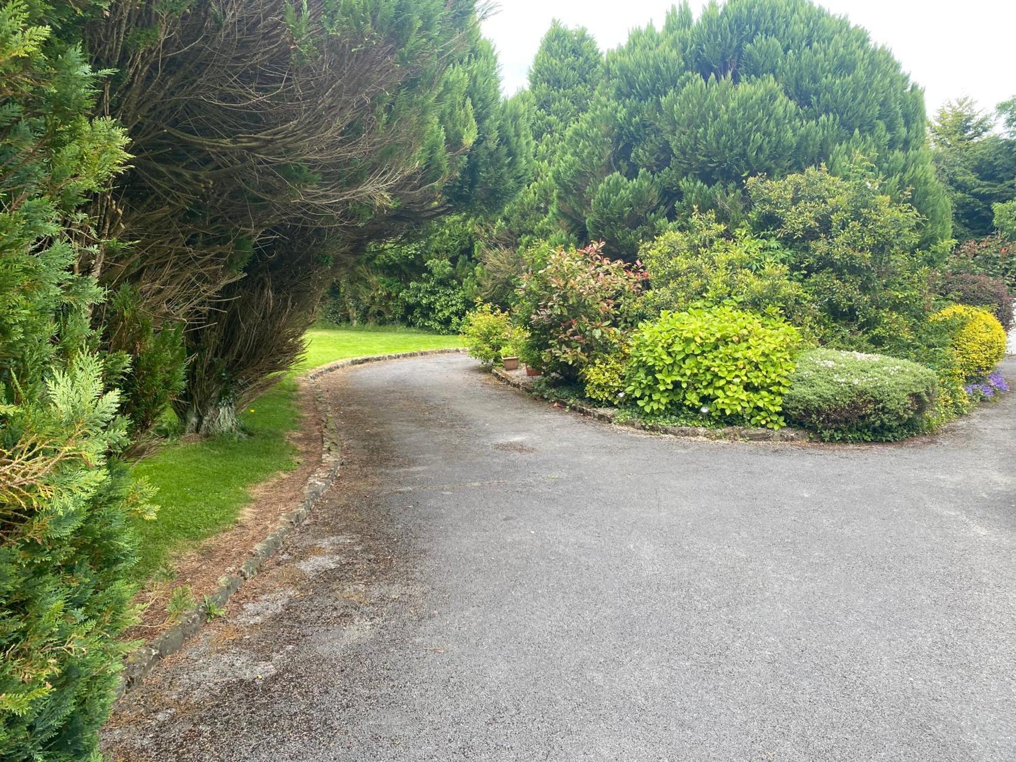 Palm Grove B&B Cashel  Exterior foto